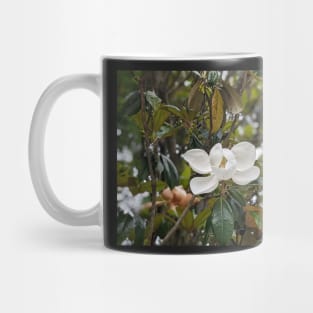 Magnolia Bloom 3 Mug